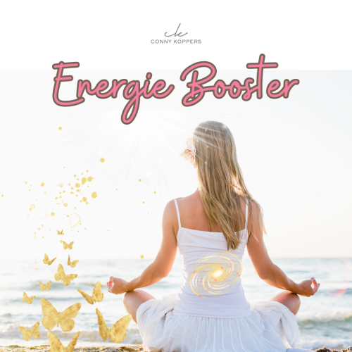 Energie Booster