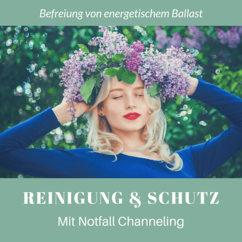 reinigung und schutz